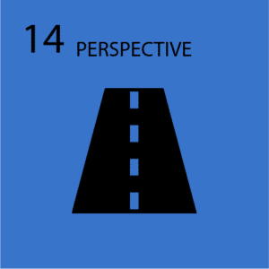 Perspective Course