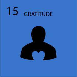 Gratitude Course
