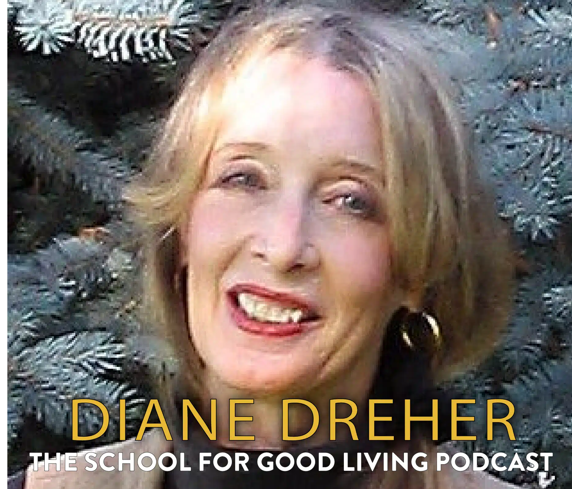 193 Diane Dreher